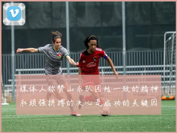 媒体人称赞山东队团结一致的精神和顽强拼搏的决心是成功的关键因素