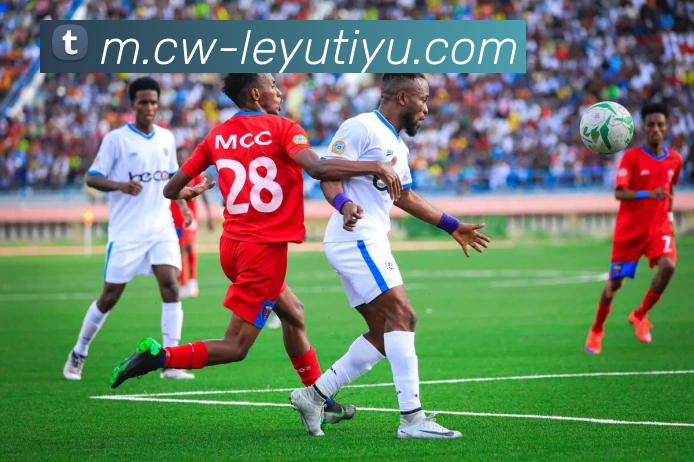 App Interface Preview