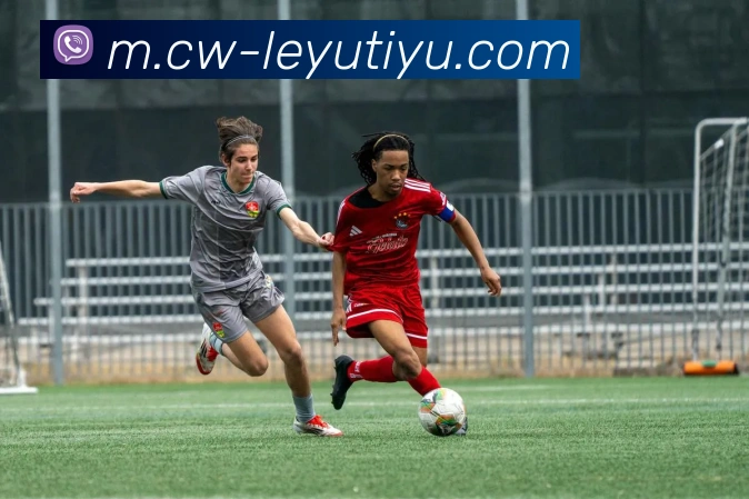 乐鱼体育APP 封面图